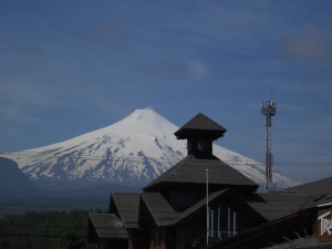 IMG_2726