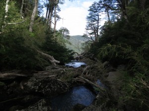IMG_2795