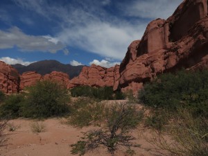 IMG_2440