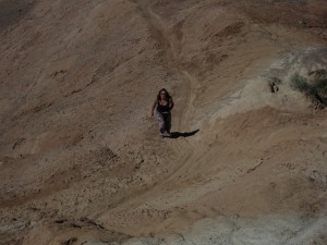 IMG_2590