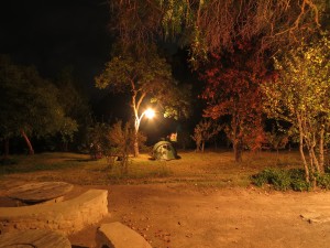 IMG_2684