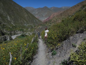 IMG_2726