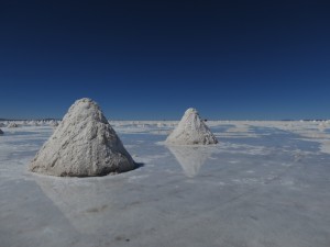 IMG_2853