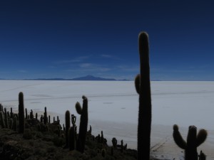 IMG_2881