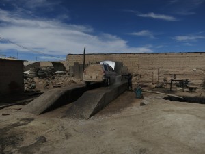 IMG_2961