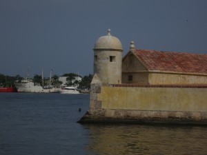 IMG_6643