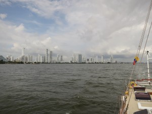IMG_6886