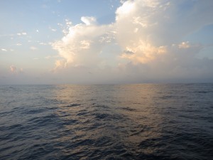 IMG_6893