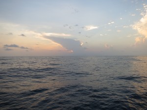 IMG_6895