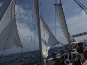 IMG_6904