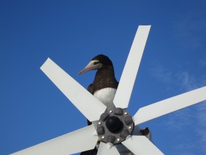 IMG_7062