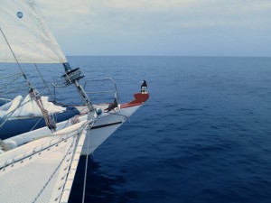 IMG_7358