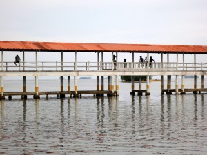 IMG_7538