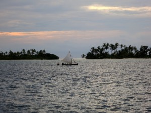 IMG_7554
