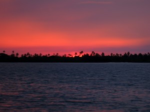 IMG_7577