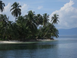 IMG_7599