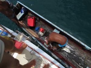 IMG_7629