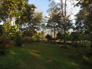 IMG_0339