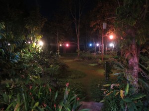 IMG_0404