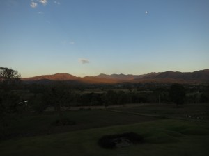 IMG_0484